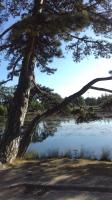Jardins et parcs -