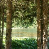 Au bord du lac de Montriond