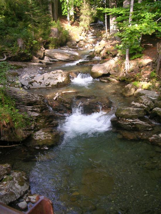 Cascade du lac des Plagnes