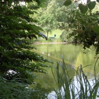 Jardins et parcs - A Paris -
