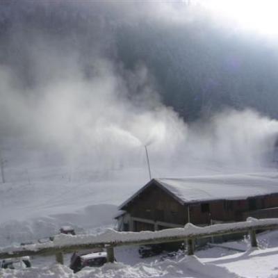 Paysage d'hiver