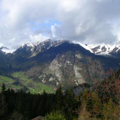 Paysage d'hiver en photos