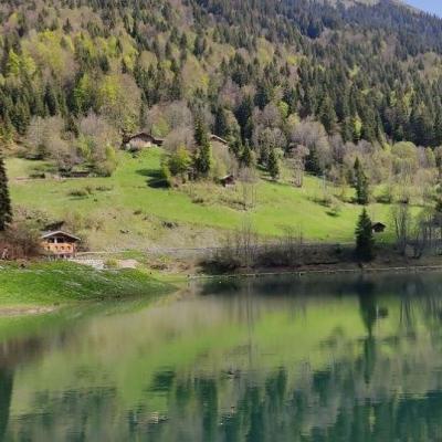 Lac montriond 1